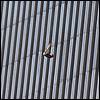 ny_terror20019.jpg