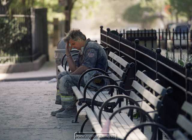ny_terror20011.jpg