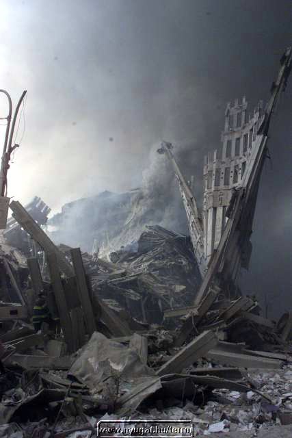 ny_terror200120.jpg
