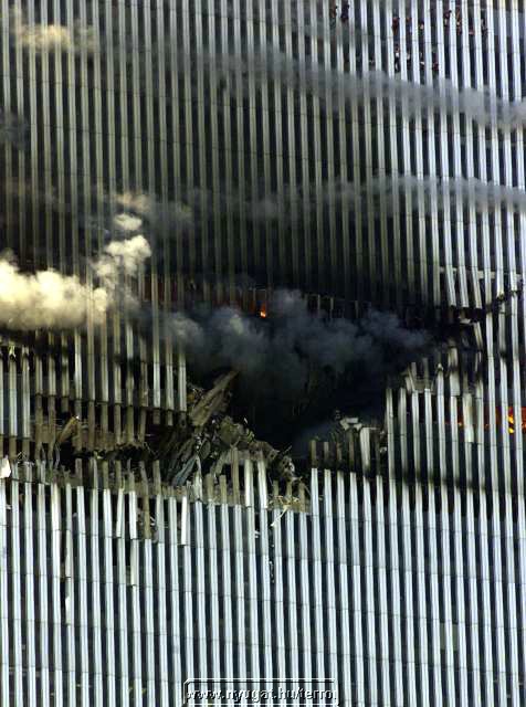 ny_terror200122.jpg