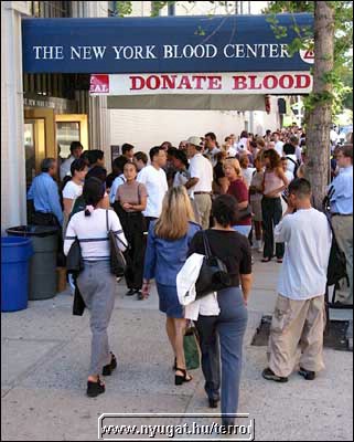 ny_terror200140.jpg