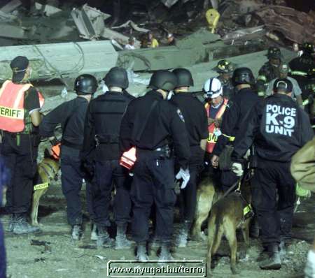 ny_terror200161.jpg