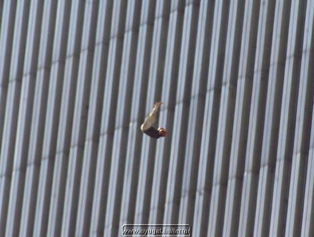 ny_terror20019.jpg