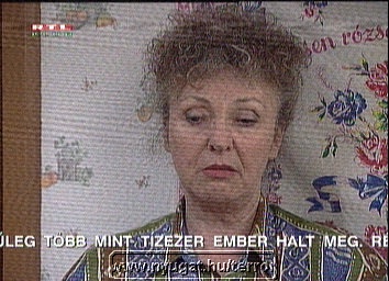snap271.jpg