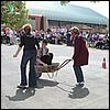 P4250729.JPG