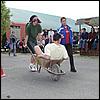 P4250738.JPG