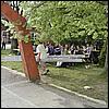P4250983.JPG