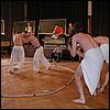 Copy of P4240471.jpg
