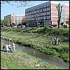 P4250562.JPG