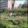P4250640.JPG