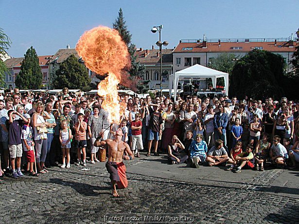 P1019464.jpg