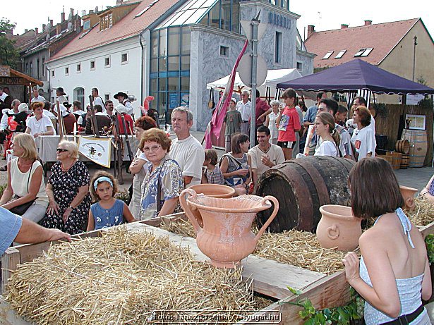 P1018518.jpg