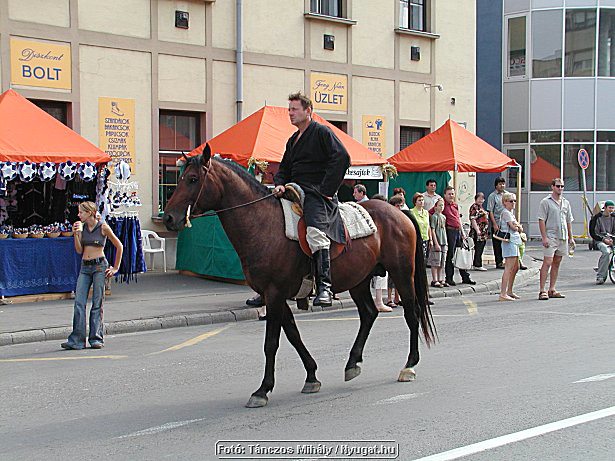 P1018504.jpg