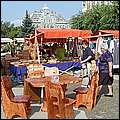 P1017996.jpg
