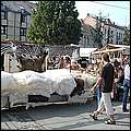 P1017998.jpg