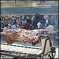 P1019006.jpg