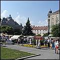 P1019336.jpg