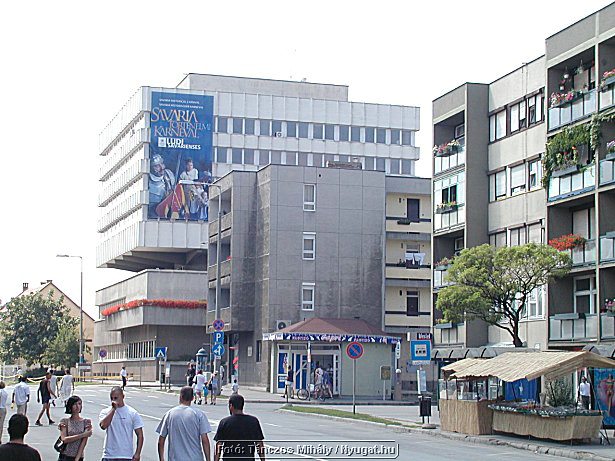 P1010063.jpg