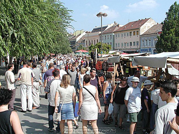 P1010108.jpg