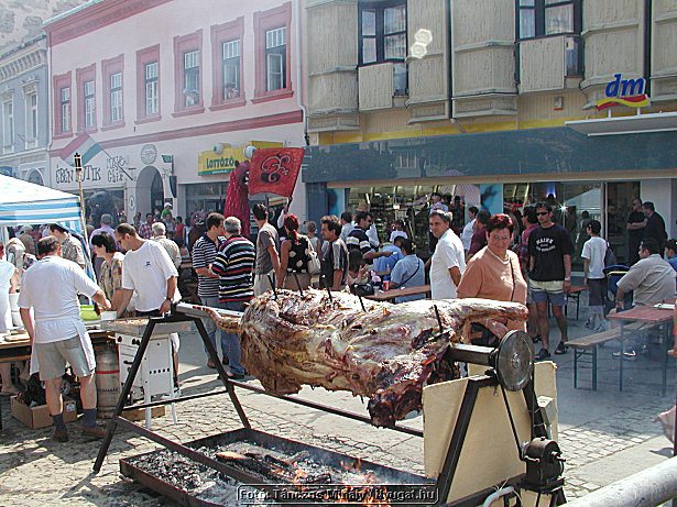 P1019001.jpg