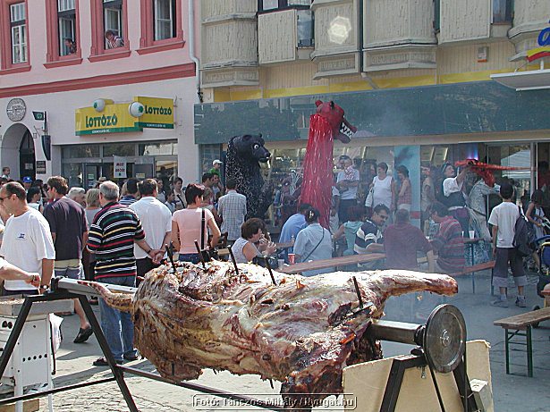 P1019004.jpg