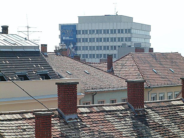 P1019303.jpg