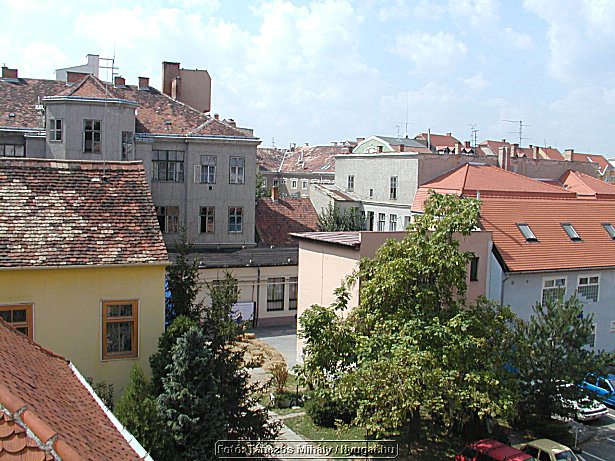 P1019314.jpg