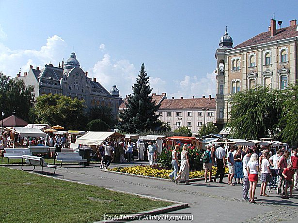P1019336.jpg