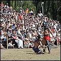 P1019045.jpg
