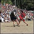 P1019066.jpg