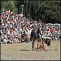 P1019069.jpg