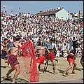 P1019097.jpg