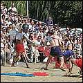 P1019100.jpg