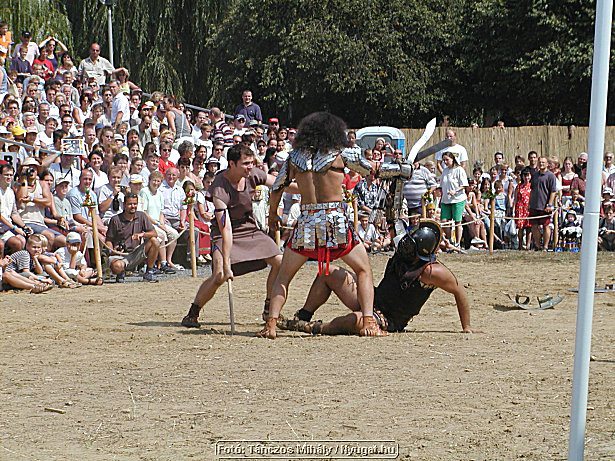 P1019071.jpg
