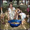 P1010189.jpg