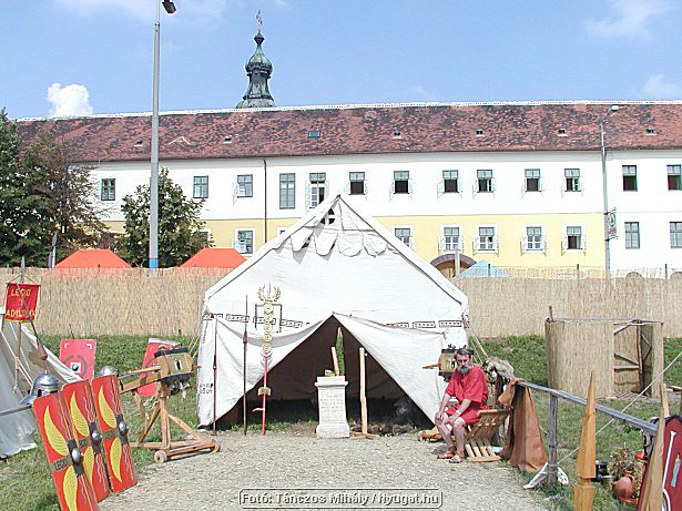 P1019026.jpg