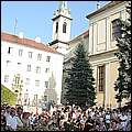 P1019516.jpg