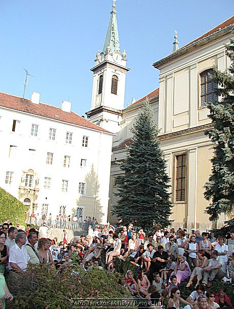P1019516.jpg
