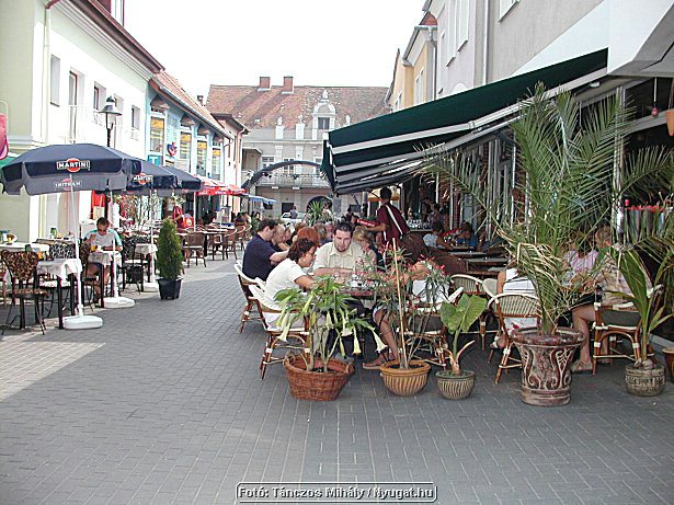 P1019325.jpg