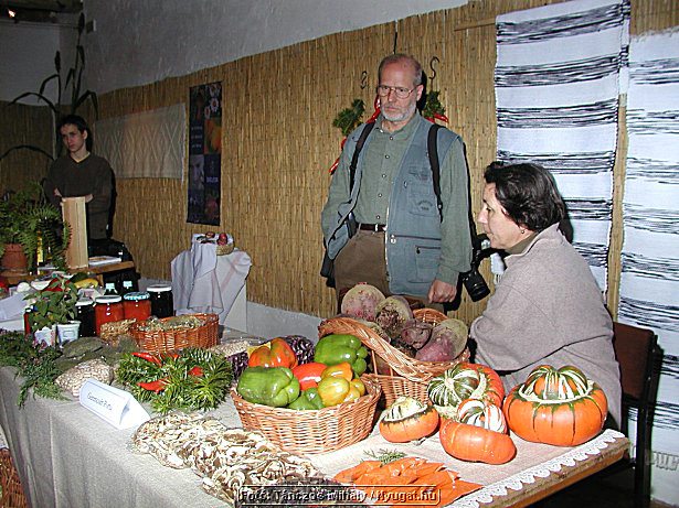 PA045207.jpg