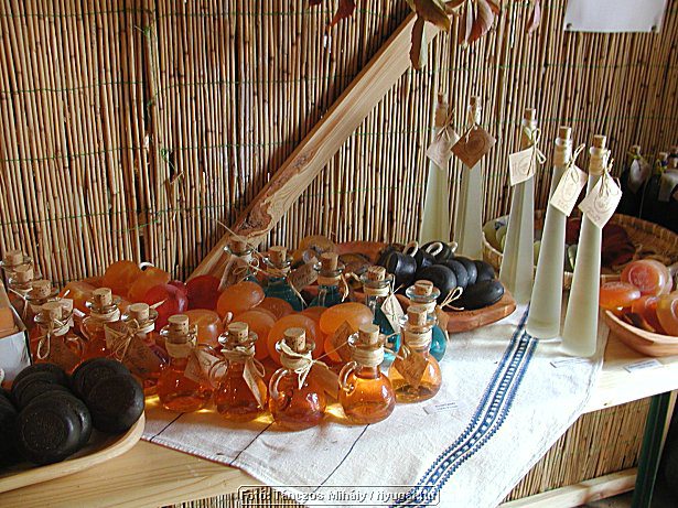 PA045235.jpg