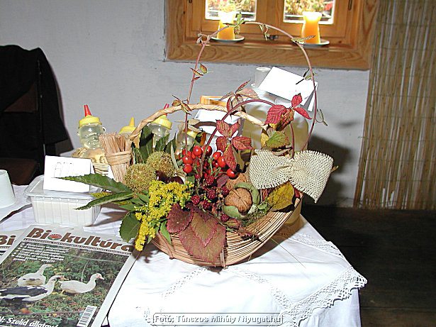 aPa045190.jpg